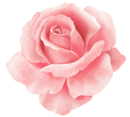 icon-rose