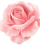 icon-rose